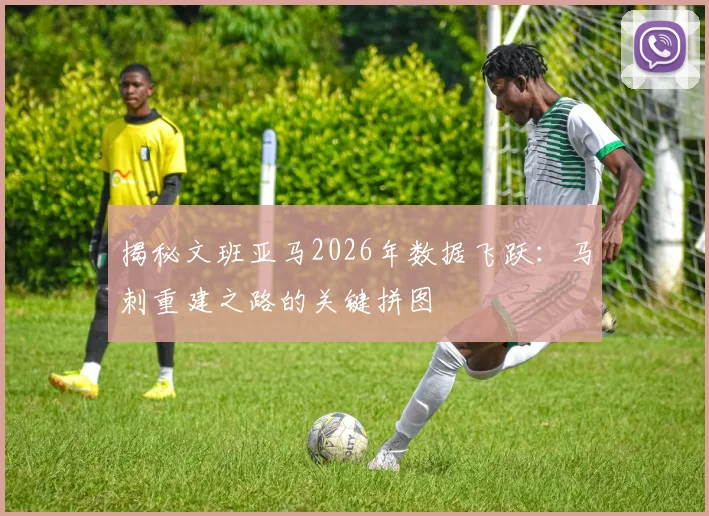 揭秘文班亚马2026年数据飞跃：马刺重建之路的关键拼图