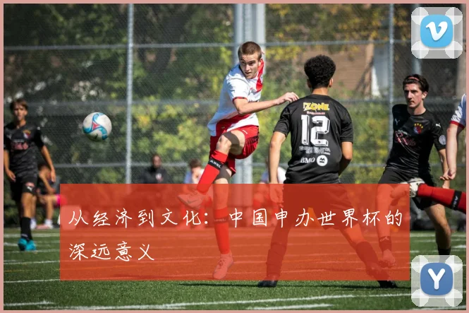 从经济到文化：中国申办世界杯的深远意义